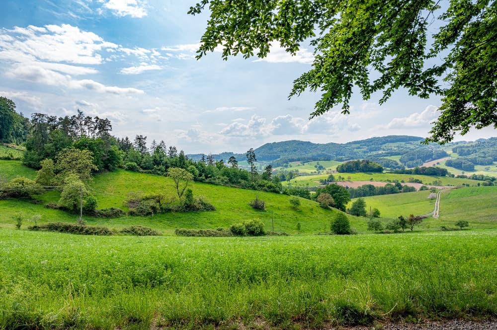 Ako ste odlučili da je vreme za upoznavanje čari planinskog turizma Srbije, doneli ste pravu odluku! Planine Srbije obiluju prirodnim lepotama, karakteristikama koje su blagotvorne po zdravlje i ponudom zanimljivih aktivnosti, stoga ćete bez sumnje provesto kvalitetno vreme.