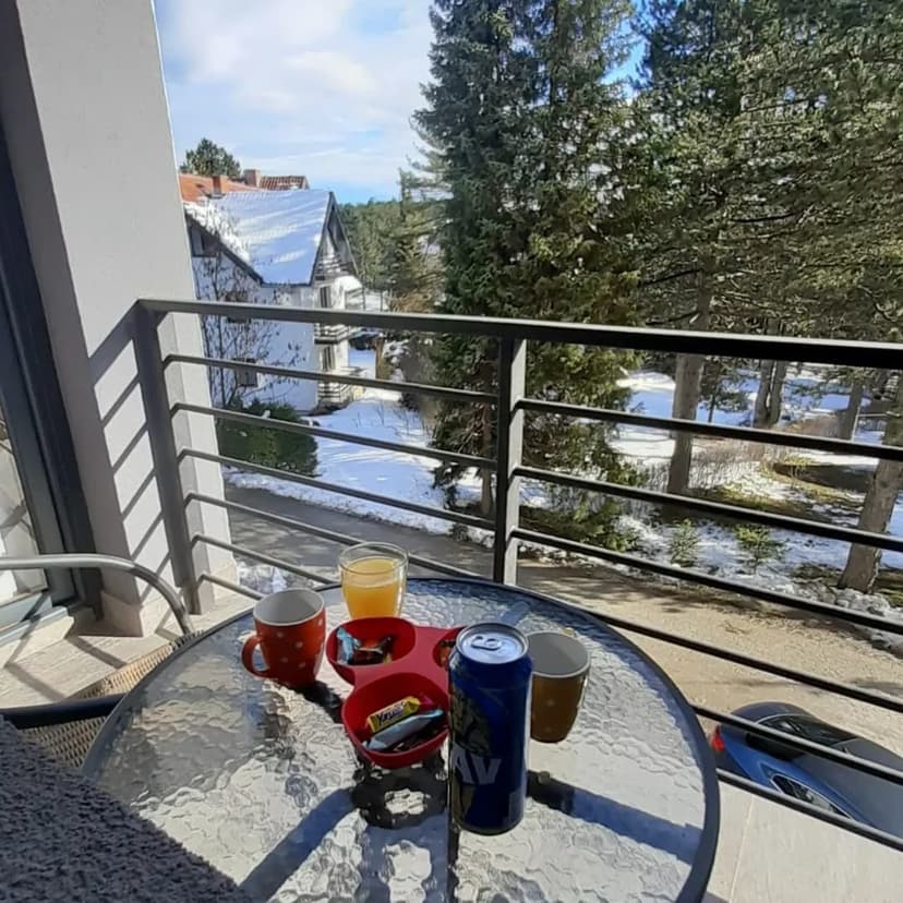 Terasa Apartman Apartmani Snezana1 Zlatibor