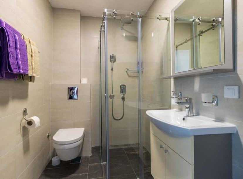 Kupatilo Apartman Apartmani Snezana1 Zlatibor