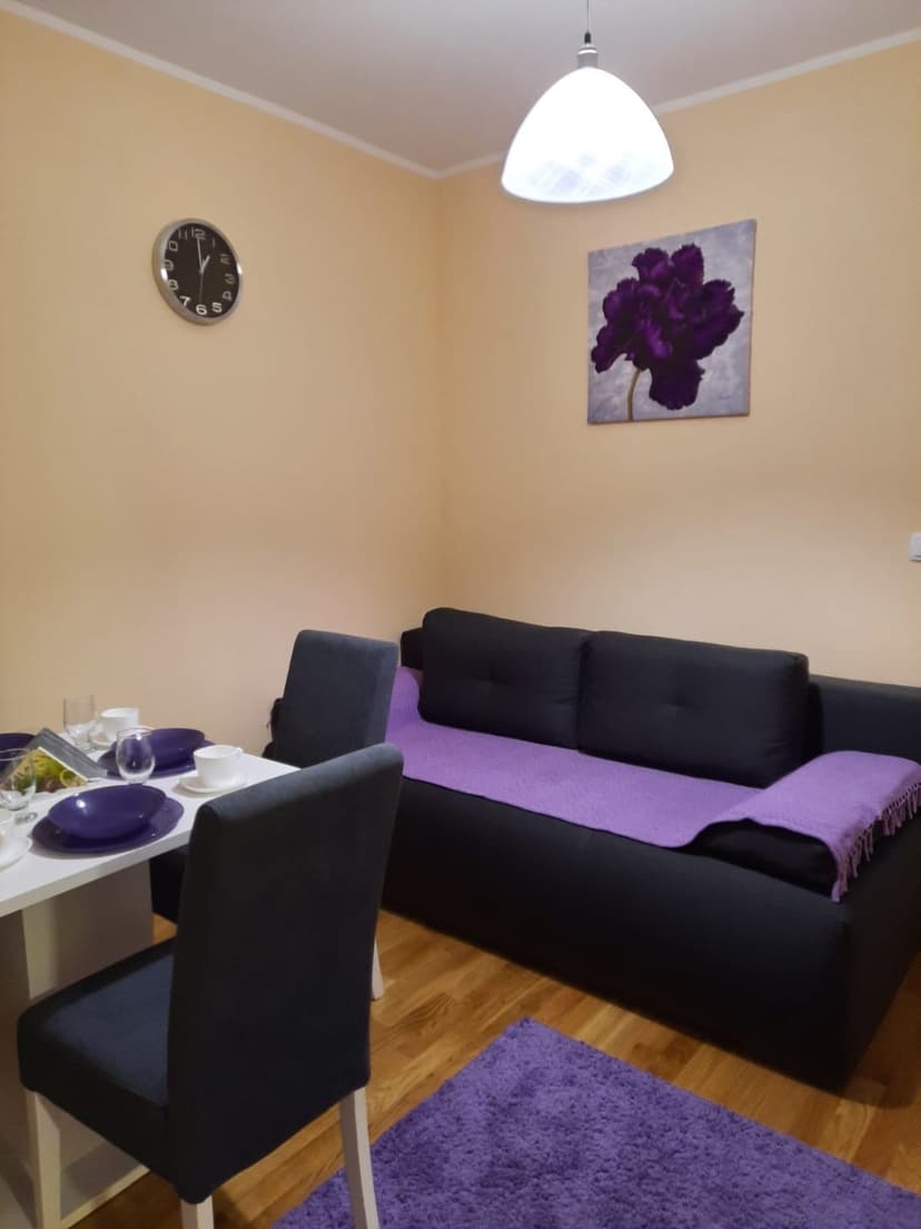  Apartman Apartman Popovic Zlatibor