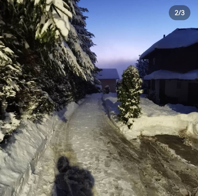  Apartman Apartman Terzić  Zlatibor