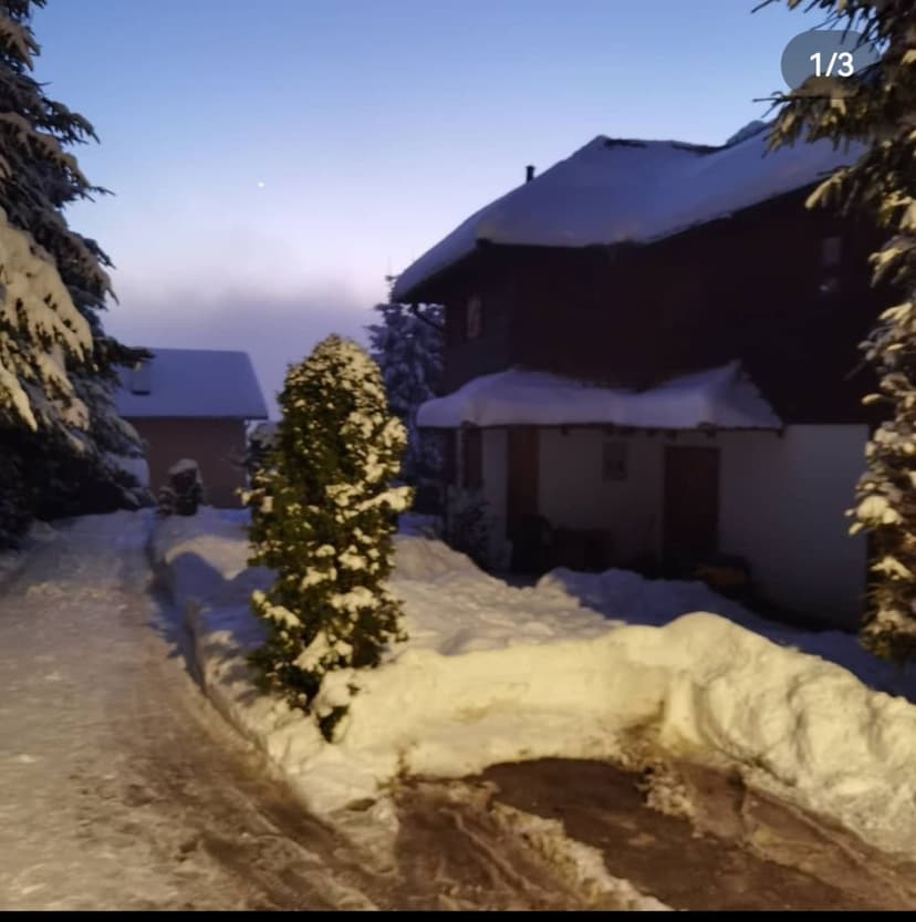  Apartman Apartman Terzić  Zlatibor