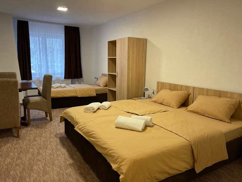  Hotel 4 vodenice - Guest House Kopaonik