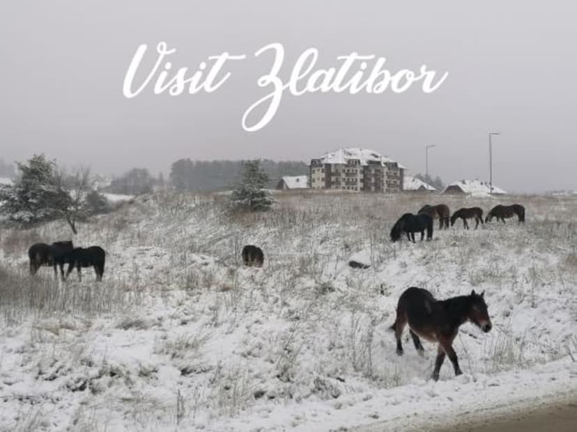  Apartman Apartman Vuleksa Zlatibor