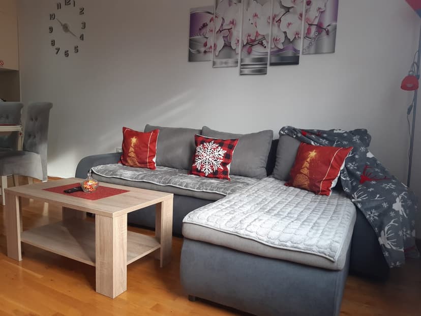  Apartman Apartmani Snezana1 Zlatibor