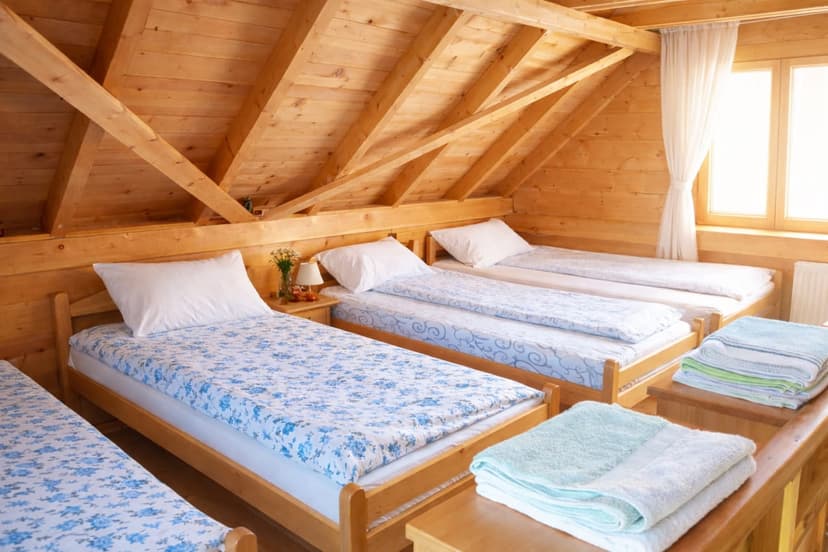  Brvnara VILA SELENA Golija