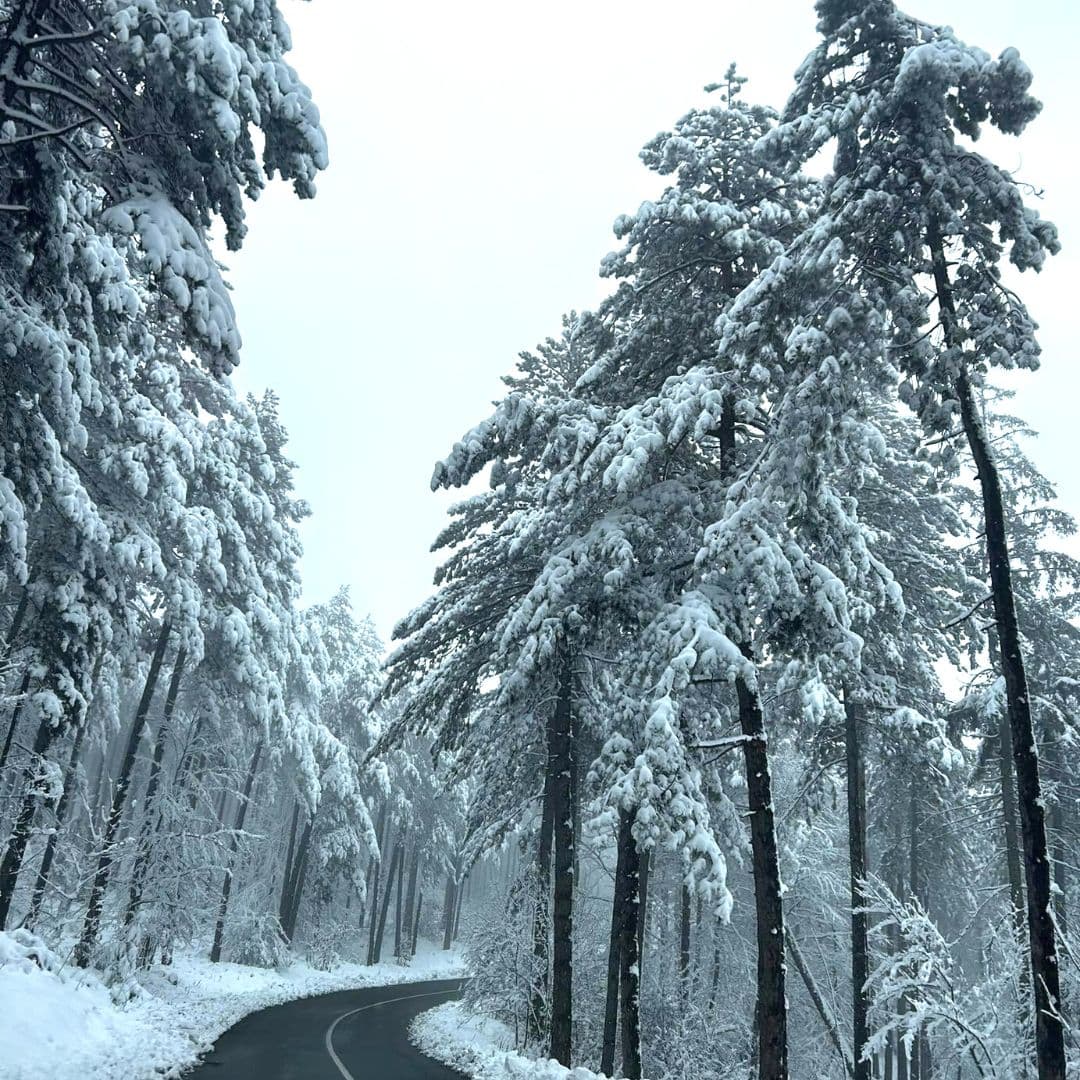 Goč sankanje i skijanje sezona 2023